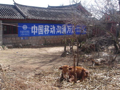 Exemple d'une publicité murale pour China Telecom sur le mur extérieur d'une ferme dans la région de Lijiang, dans le Yunnan, en Février 2006.