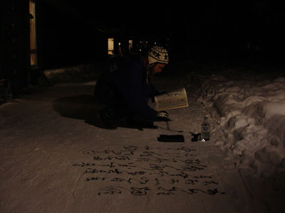 succint calligraphic intervention at the Icehotel, Jukkasjärvi, Sápmi.